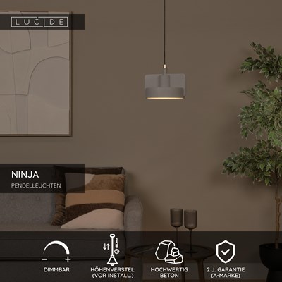 Lucide NINJA - Pendelleuchten - Ø 20 cm - 1xE27 - Grau